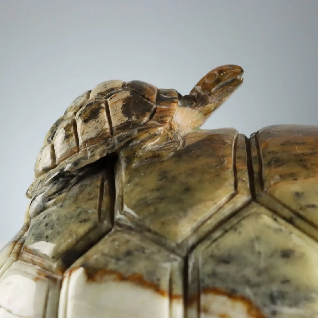 Modern Sculpture Turtle Hard Stone Italy XX Century - Asia, XX Century | Antiques | Fancy Goods