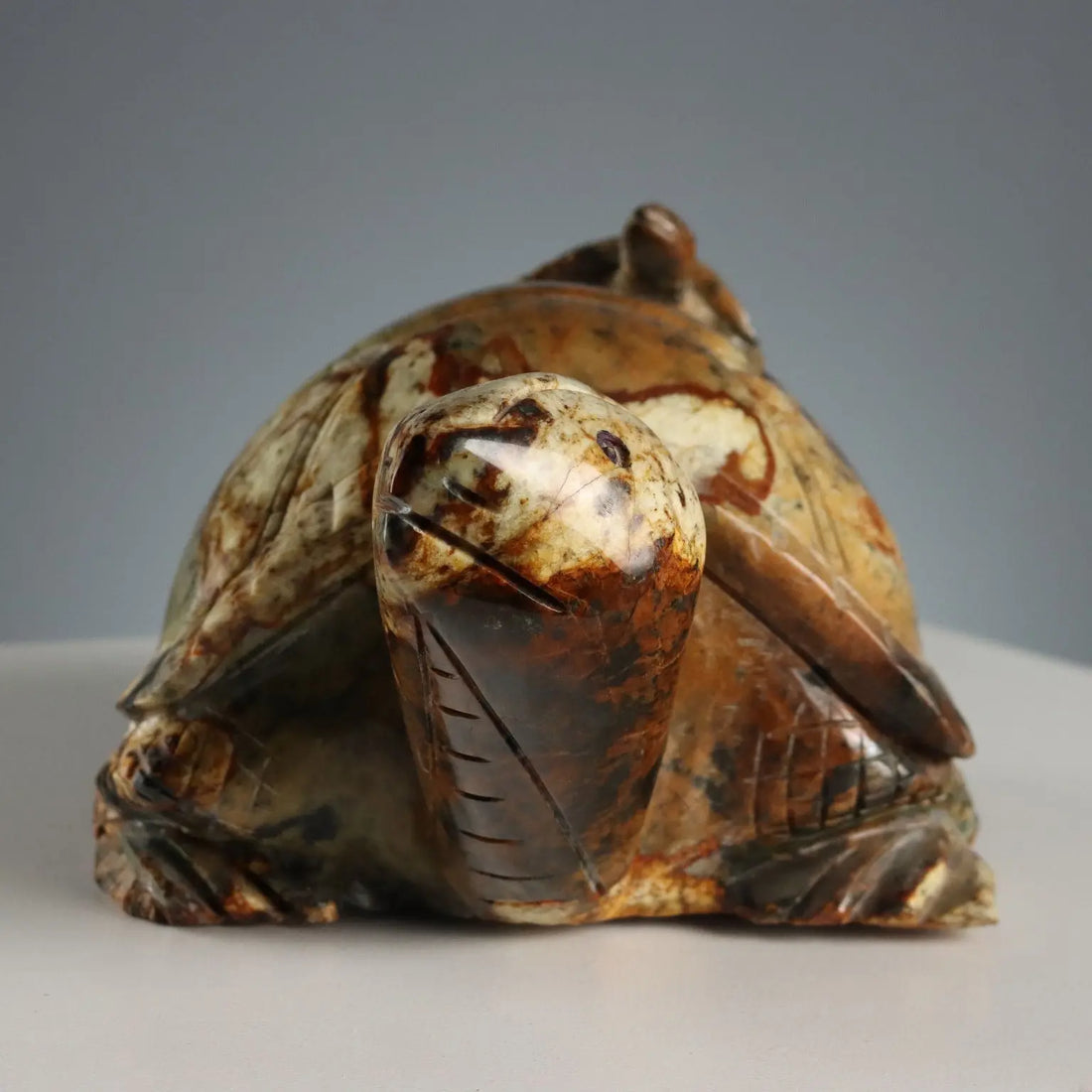 Modern Sculpture Turtle Hard Stone Italy XX Century - Asia, XX Century | Antiques | Fancy Goods