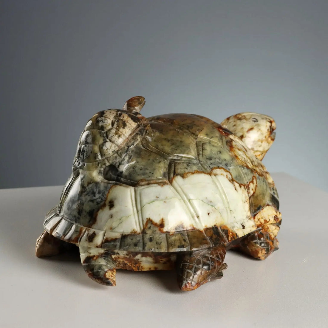 Modern Sculpture Turtle Hard Stone Italy XX Century - Asia, XX Century | Antiques | Fancy Goods