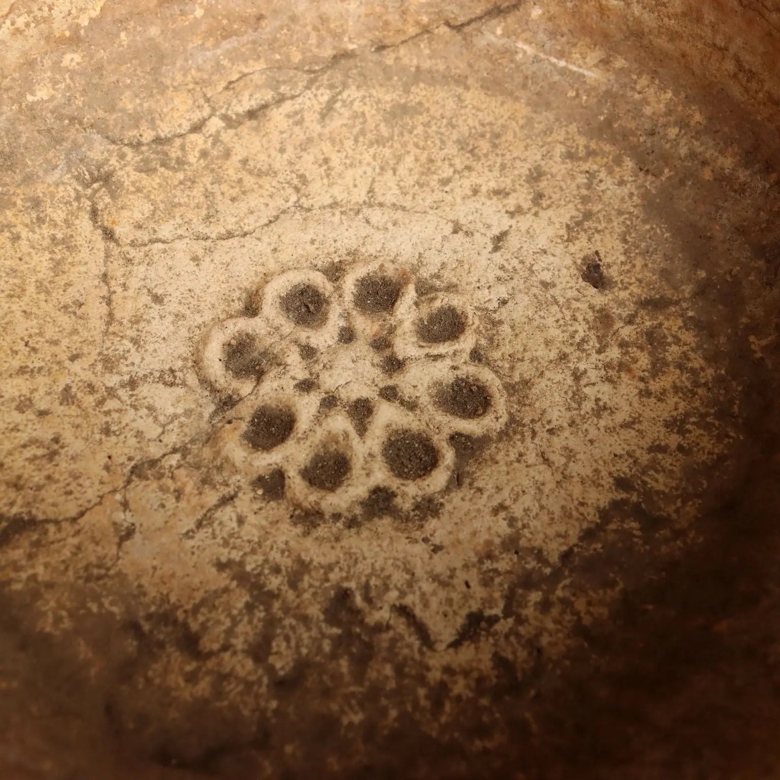 Antique Basin Stone with Rosette Circular Italy XX Century - Italy, Early XX Century | Antiques | Fancy Goods
