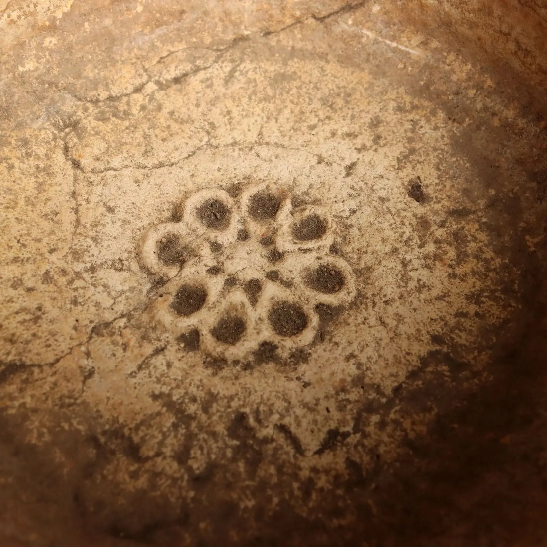 Antique Basin Stone with Rosette Circular Italy XX Century - Italy, Early XX Century | Antiques | Fancy Goods