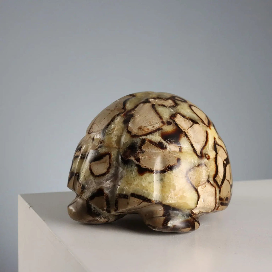 Antique Sculpture Septarian Stone Europe XX Century