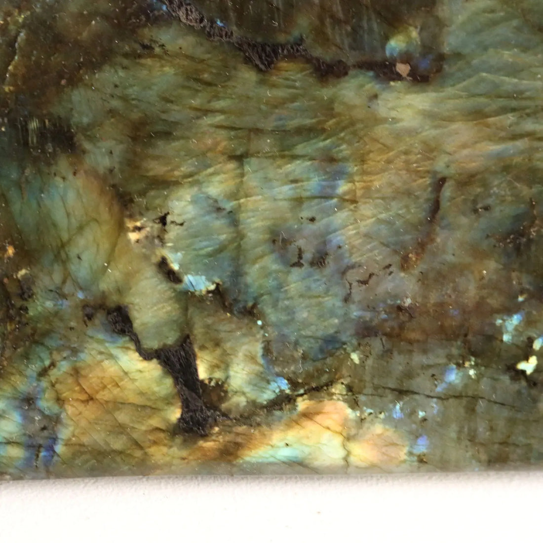 Group of Four Labradorite Stones Semi-Precious