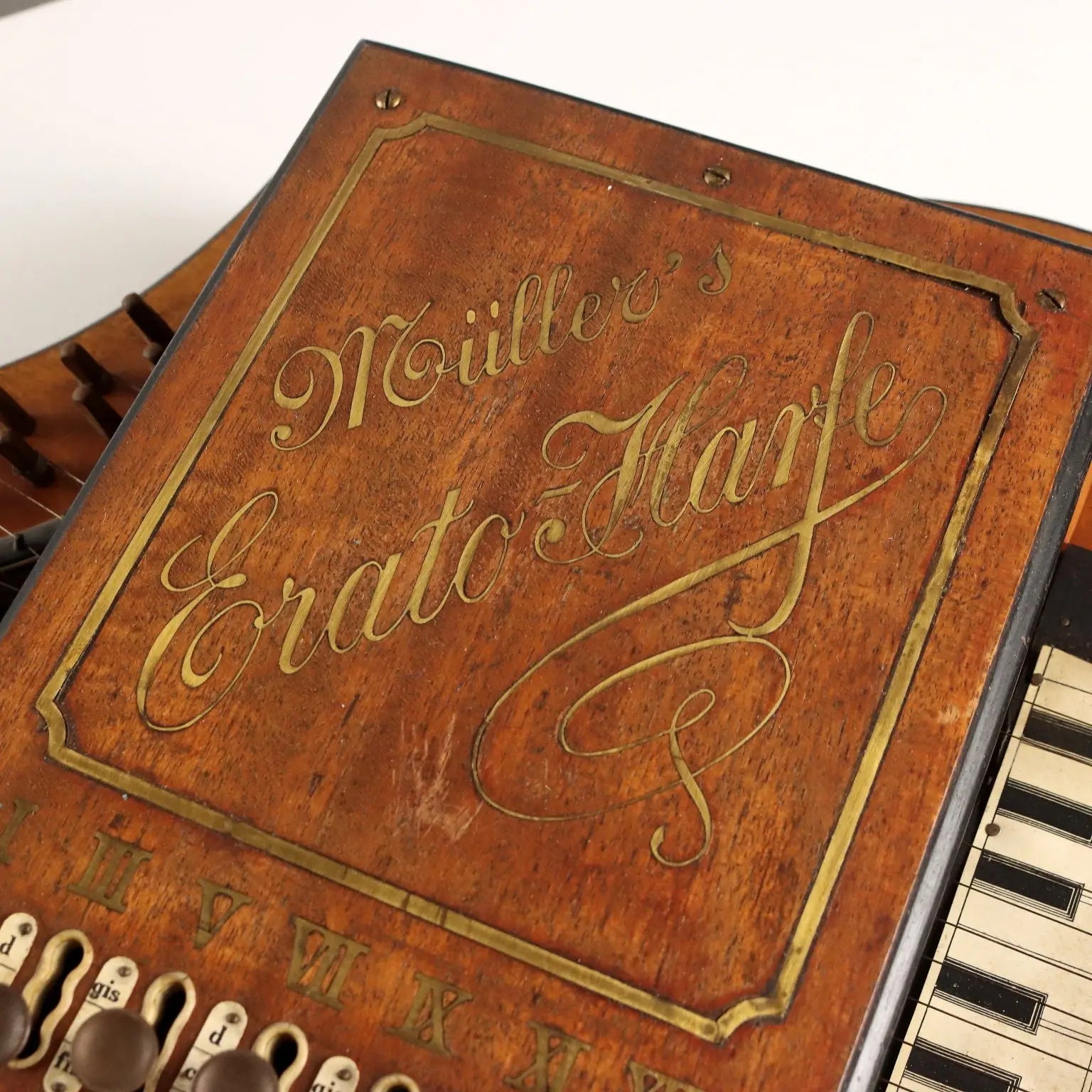 Autoharp Muller's Erato Harfe Early XX Century