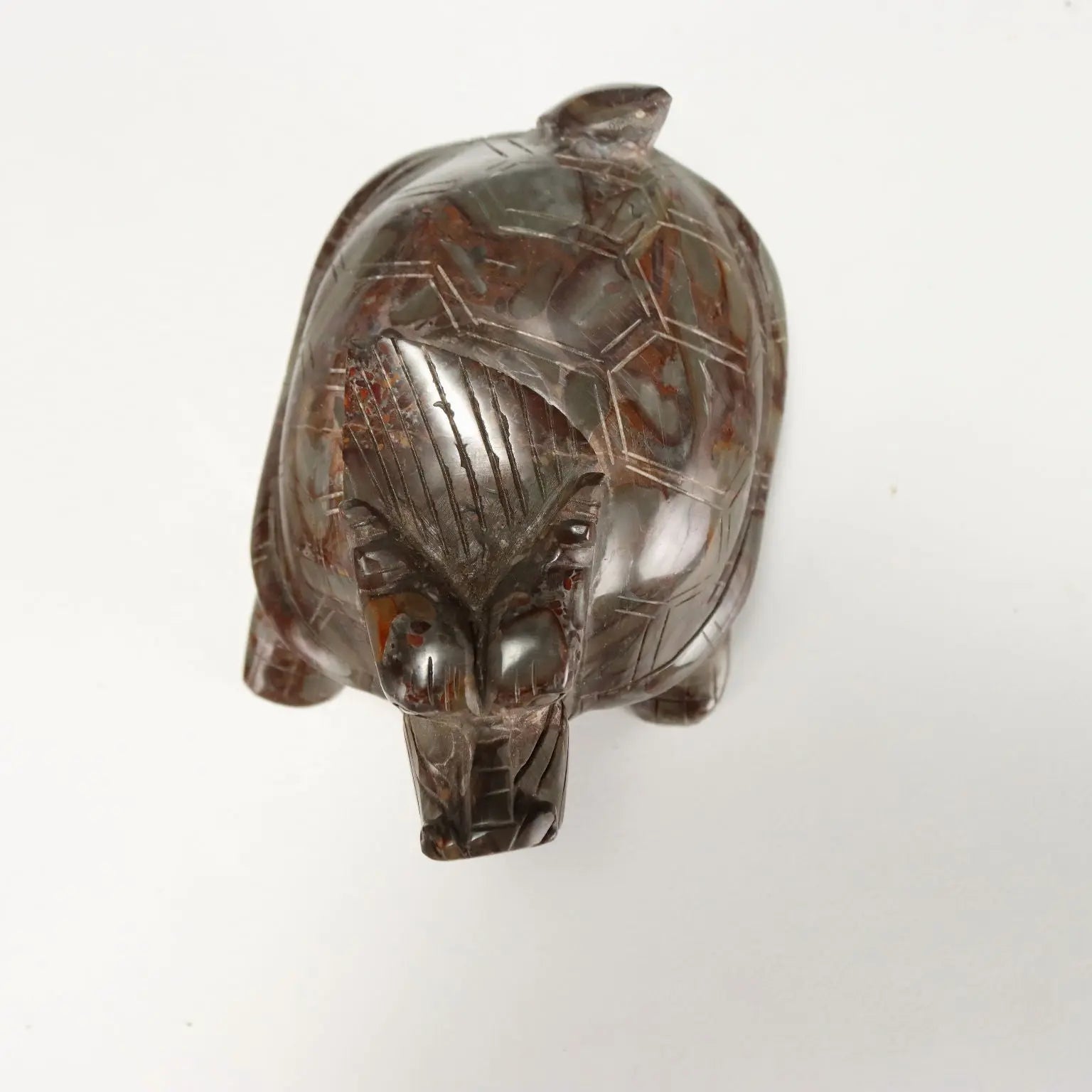 Group of Dragon Turtles Various Stones and Dimensions XX Century