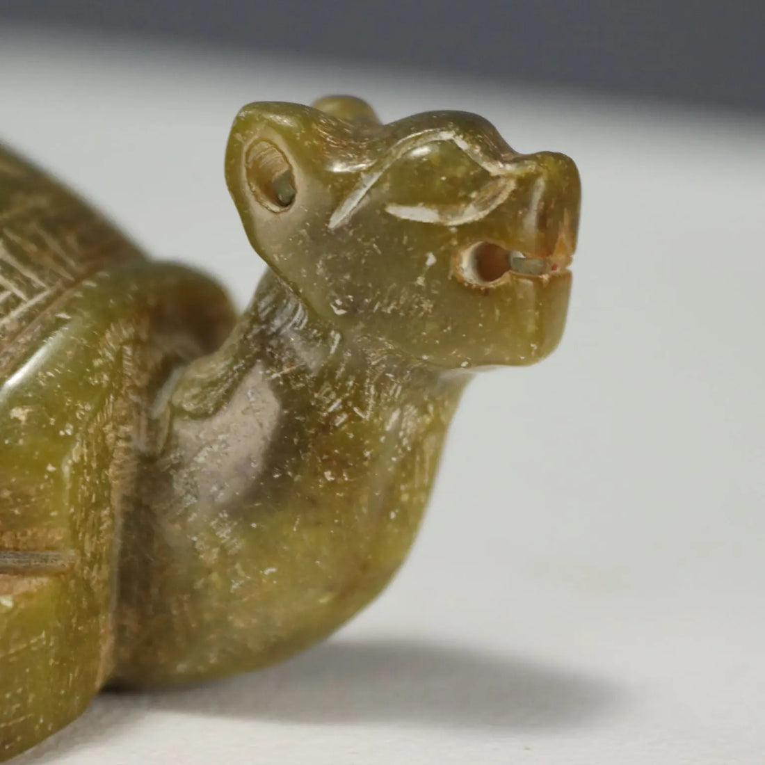 Group of Dragon Turtles Various Stones and Dimensions XX Century