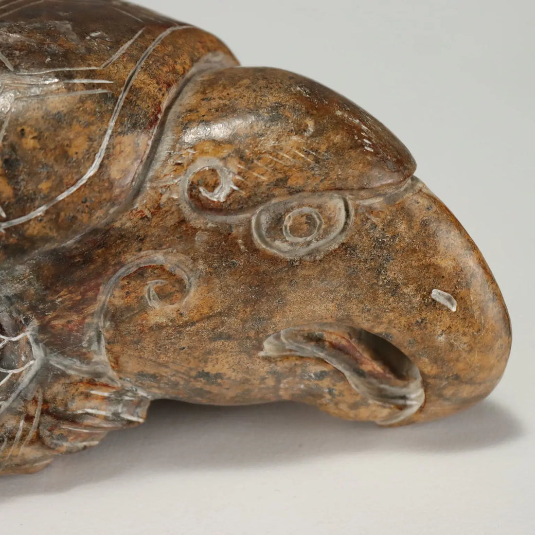 Group of Dragon Turtles Various Stones and Dimensions XX Century