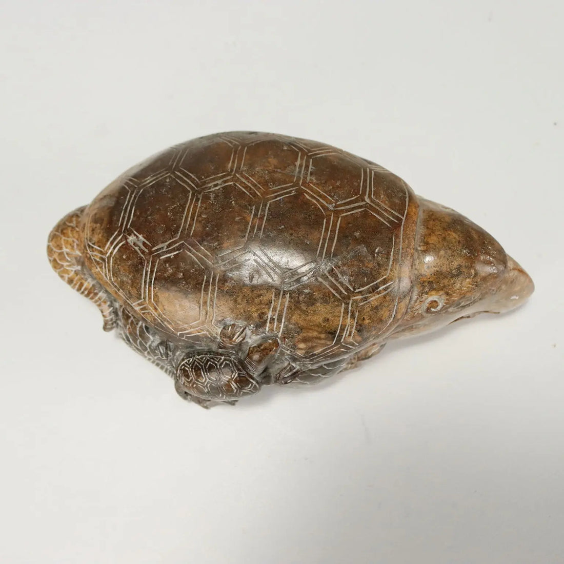 Group of Dragon Turtles Various Stones and Dimensions XX Century