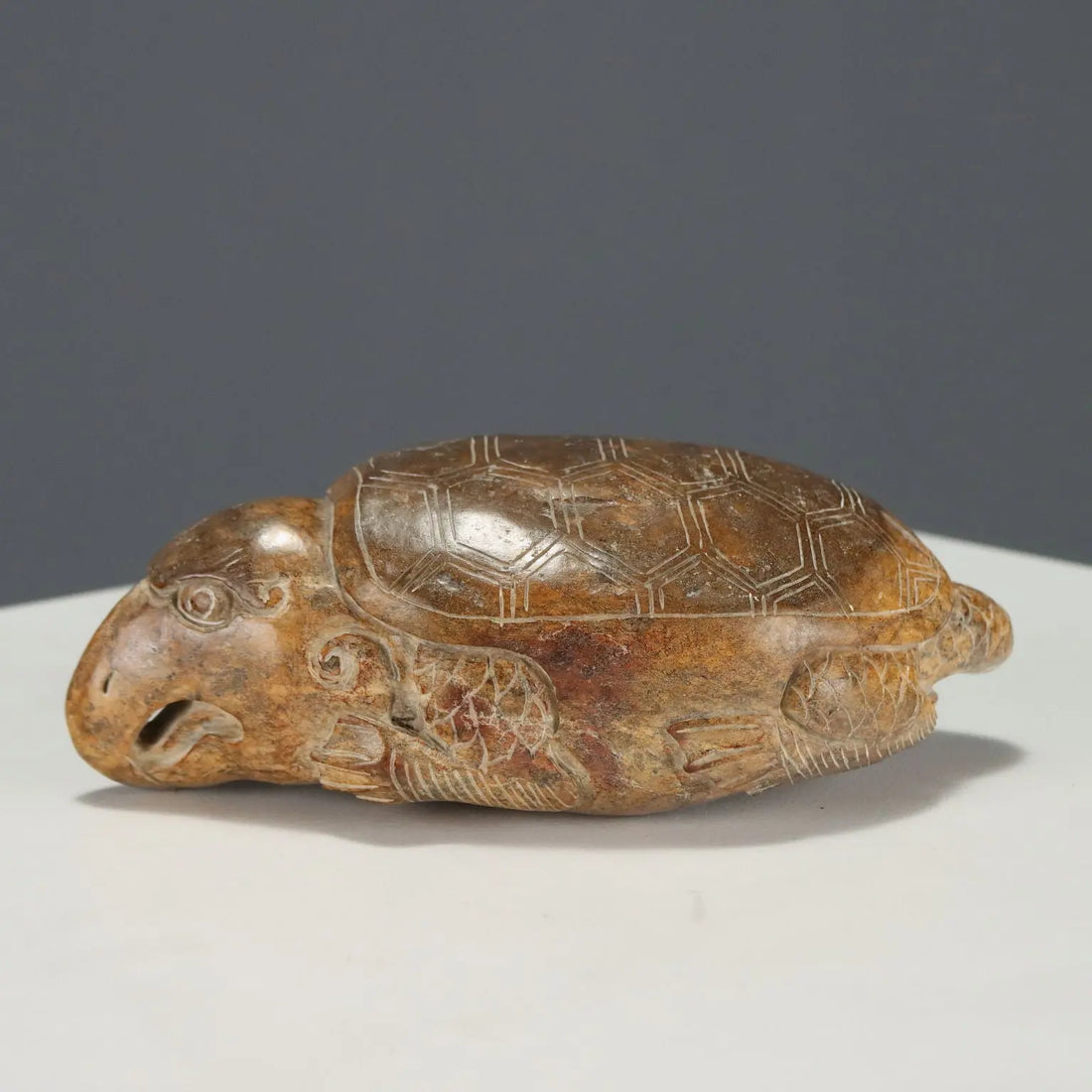 Group of Dragon Turtles Various Stones and Dimensions XX Century