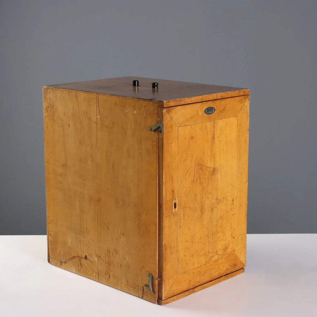 Professional Microscope Officine Galileo Vintage Italy 1950s - Italy, 1950s | Modernism | 