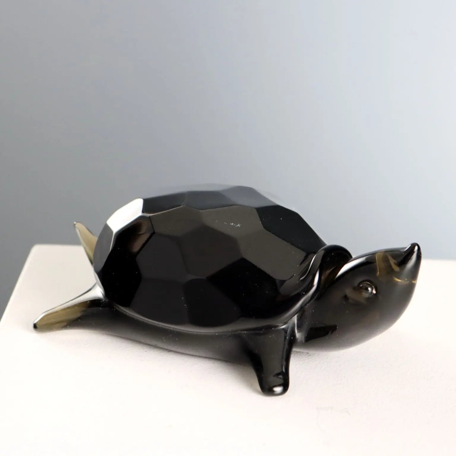 Vintage Turtle Glass Seguso Manufacture Italy 1960s