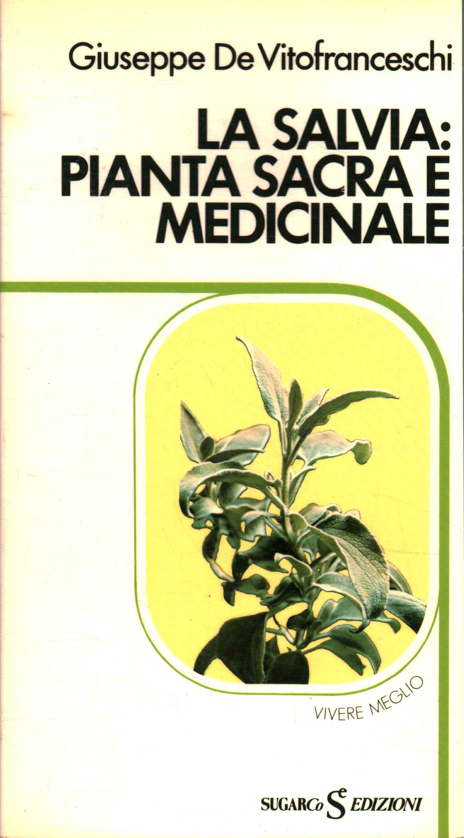 Salvia: planta sagrada y medicinal